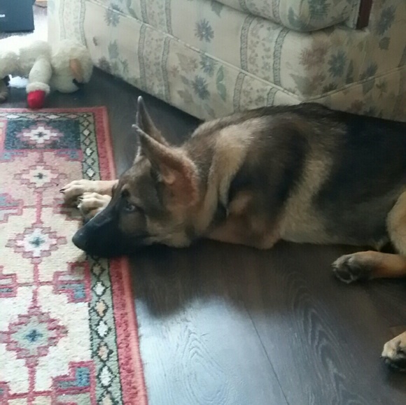 Meet your Posher, Mary - Picture 1 of 5